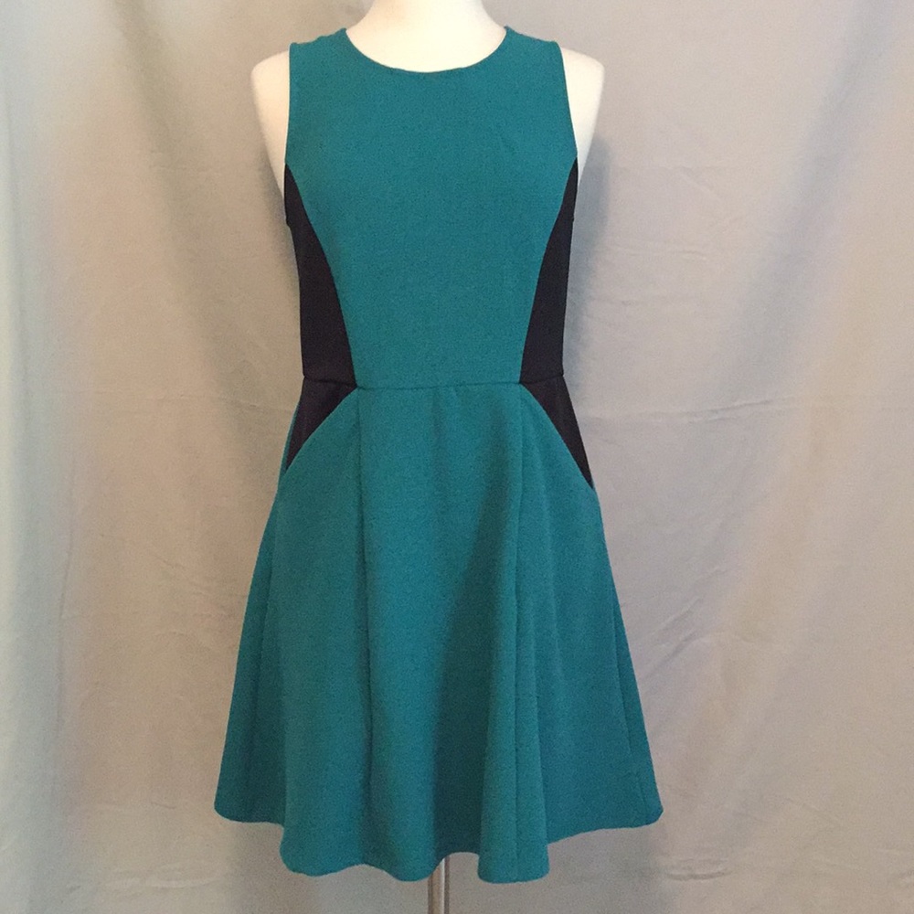 Fit and flare mini dress